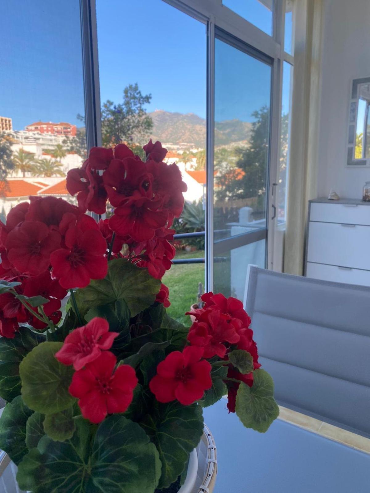 Appartement Prealsa